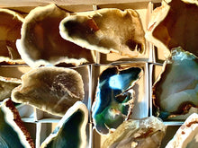 Load image into Gallery viewer, Polished Natural Agate Medium Slab Slice