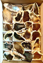 Load image into Gallery viewer, Polished Natural Agate Medium Slab Slice