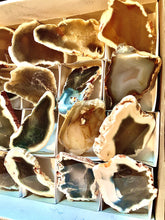 Load image into Gallery viewer, Polished Natural Agate Medium Slab Slice