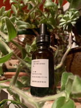 Load image into Gallery viewer, Natural Beeings Wildcrafted Pure Essential Oil 16 mL