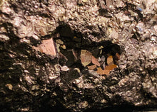 Load image into Gallery viewer, Natural Raw Pyrite Fools Gold Chunk