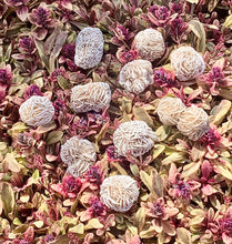 Load image into Gallery viewer, Desert Rose Selenite / Gypsum / Sand Rose / Selenite Rose / Gypsum Rose / Natural Crystal Gemstones