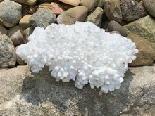 Load image into Gallery viewer, Botryoidal White Aragonite/ Cave Calcite Raw