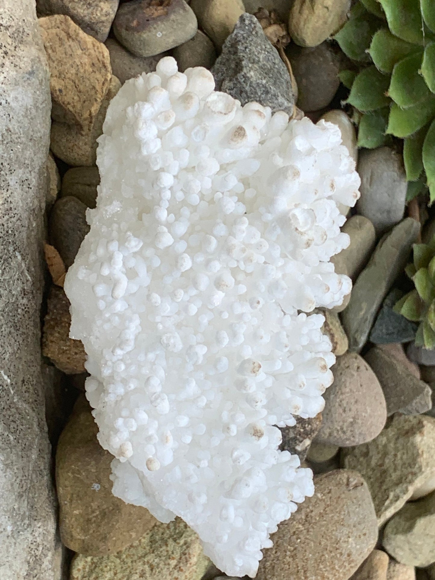 Botryoidal White Aragonite/ Cave Calcite Raw