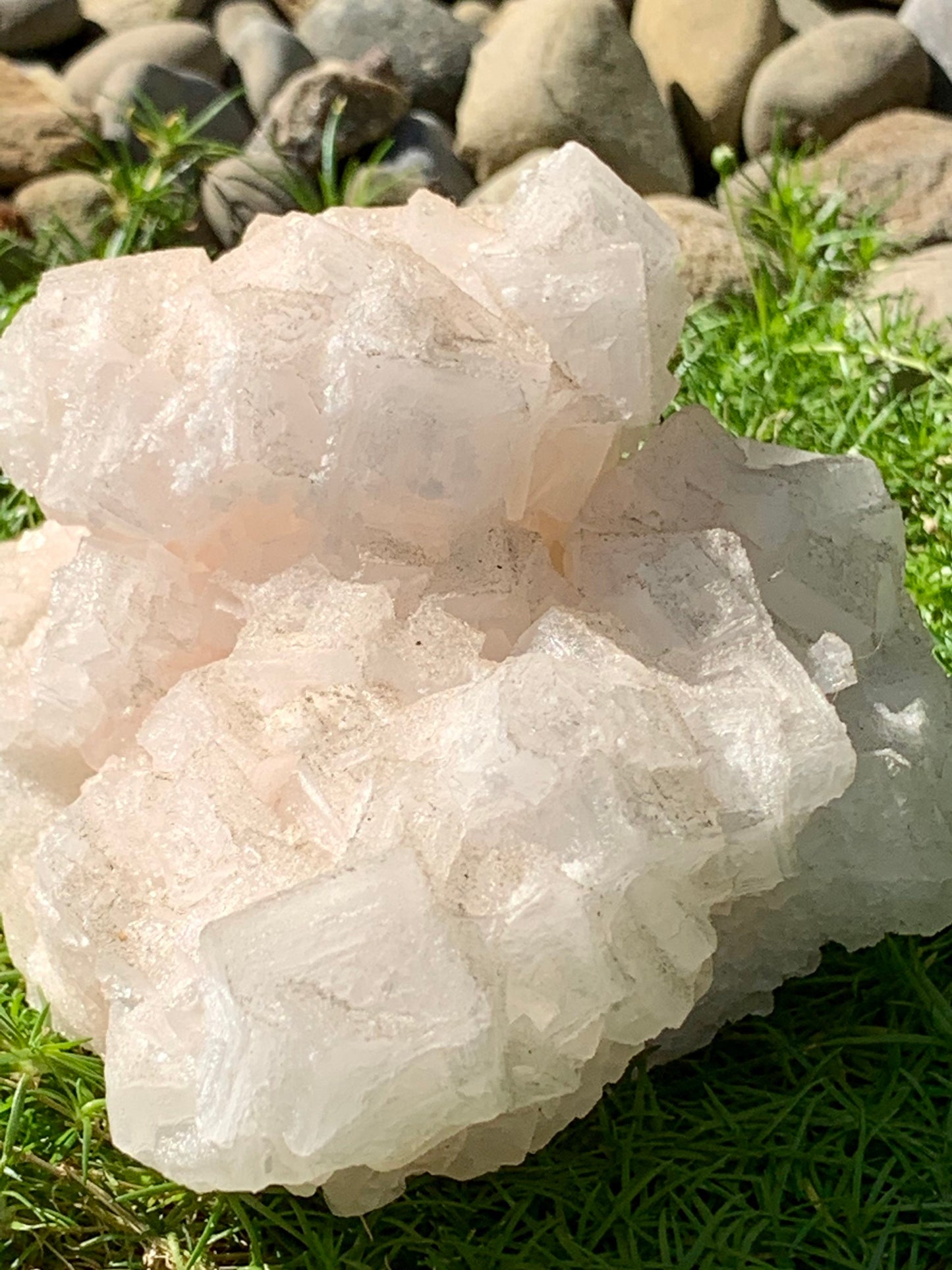 Pink Halite Large Salt Crystal Mineral Specimen