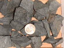 Load image into Gallery viewer, Shungite Rough Raw Tumbling Stones Natural Crystal Mineral Gemstone EMF Protection Water Purifier
