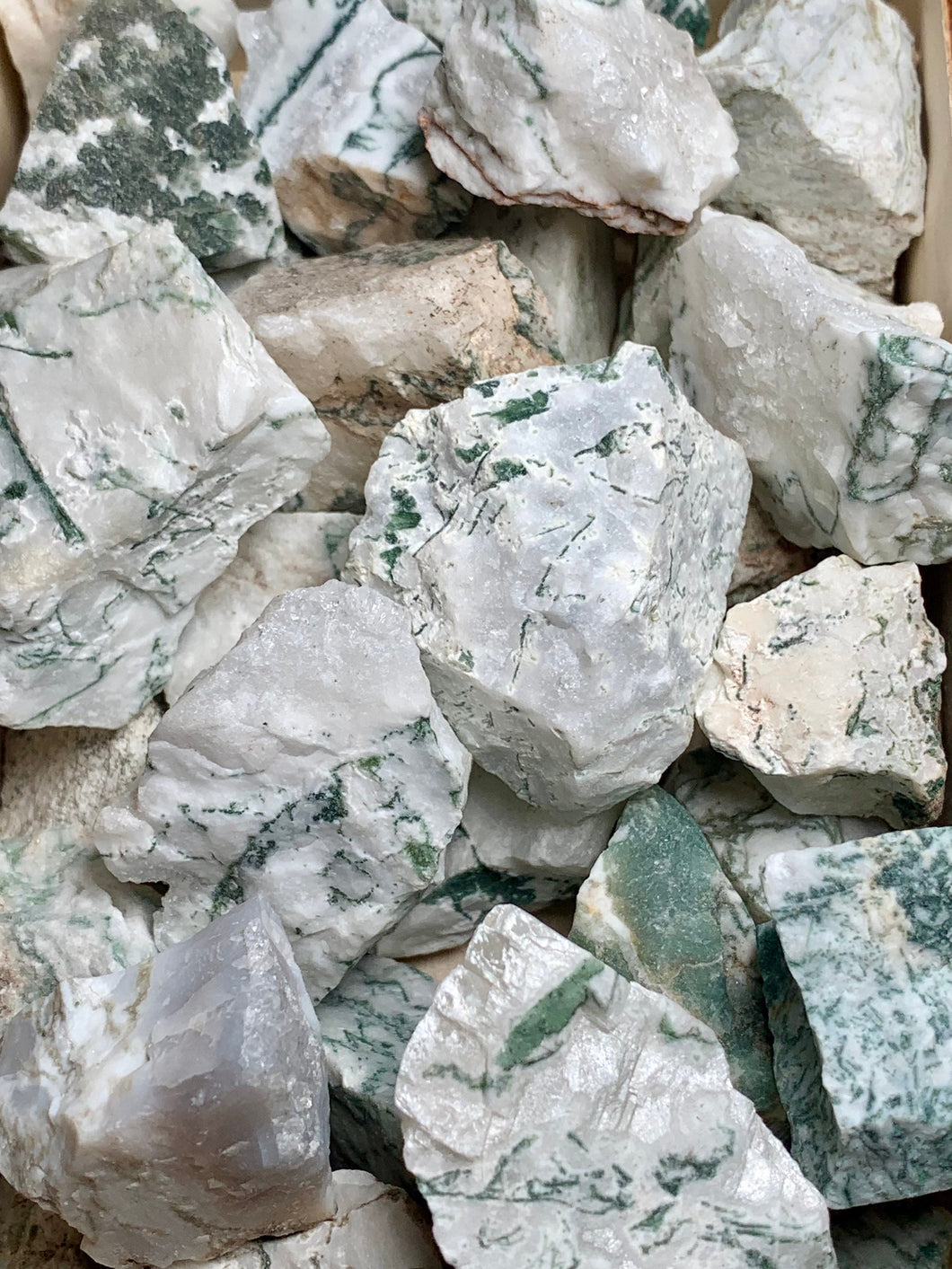 Tree Agate Rough Raw Tumbling Stones Natural Crystal Gemstones