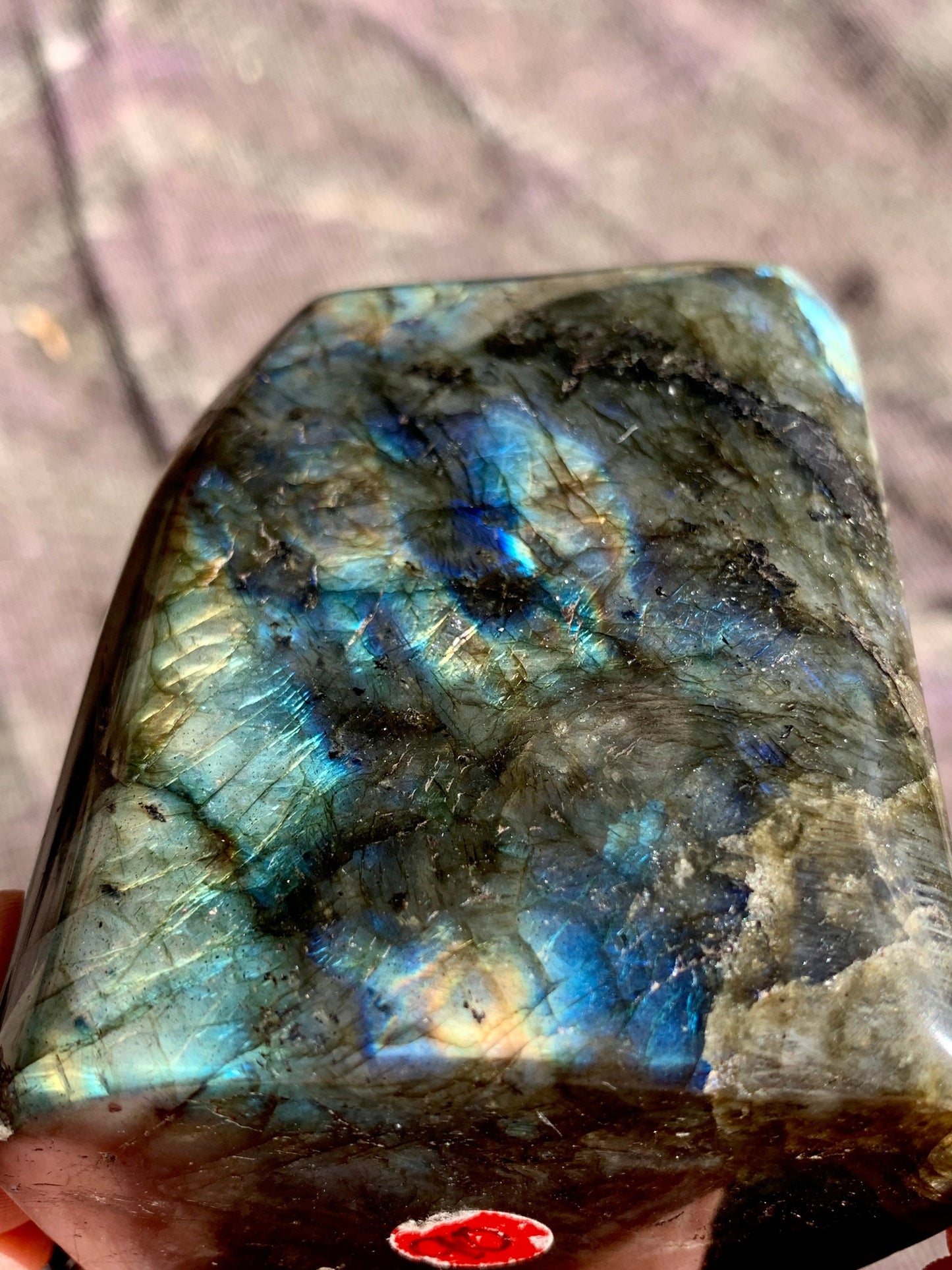 Labradorite Freeform - Gold Blue Purple Flash - 2 lb 4 oz