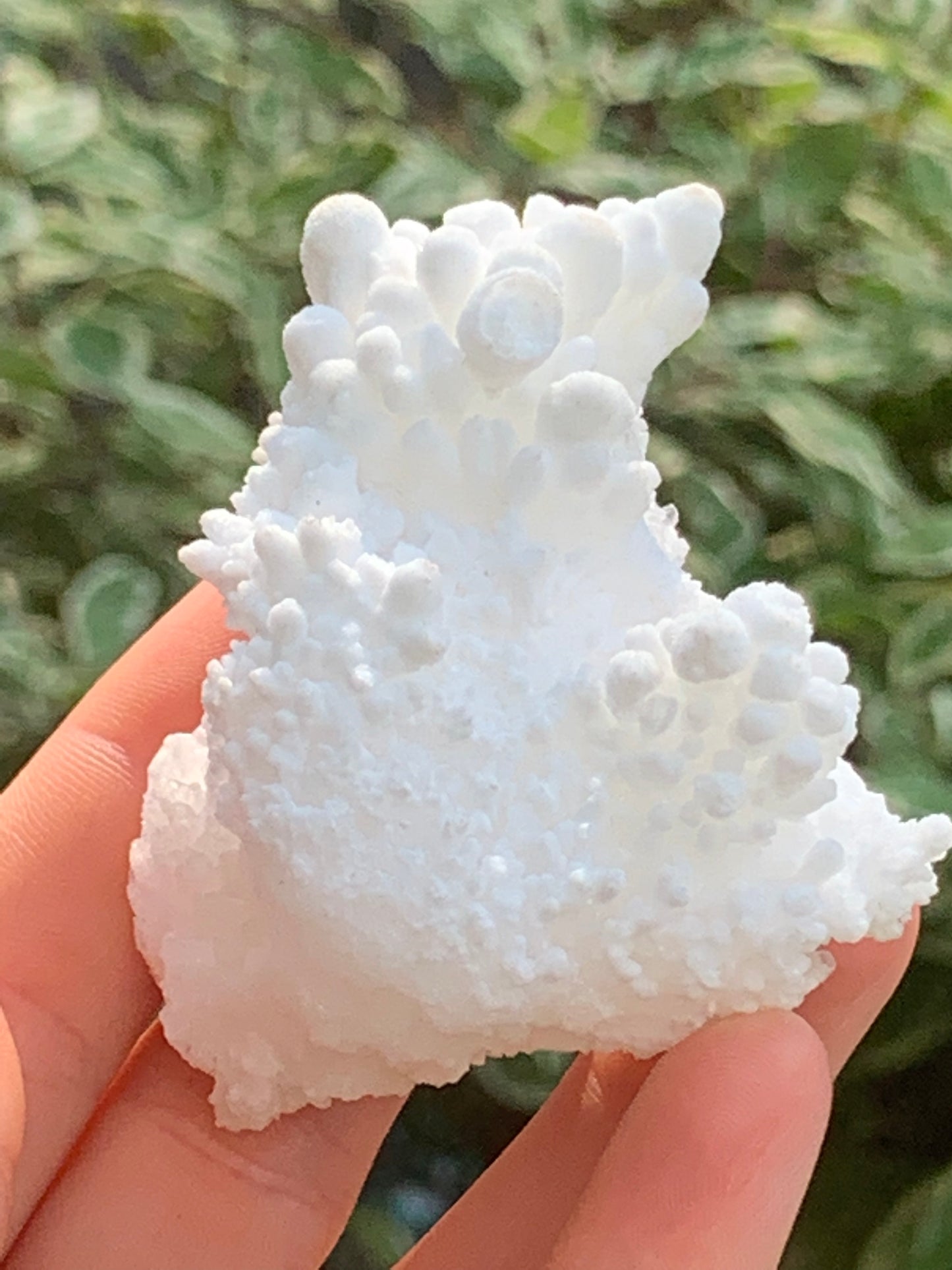 Botryoidal White Aragonite / Cave Calcite Raw Natural Crystal Specimen