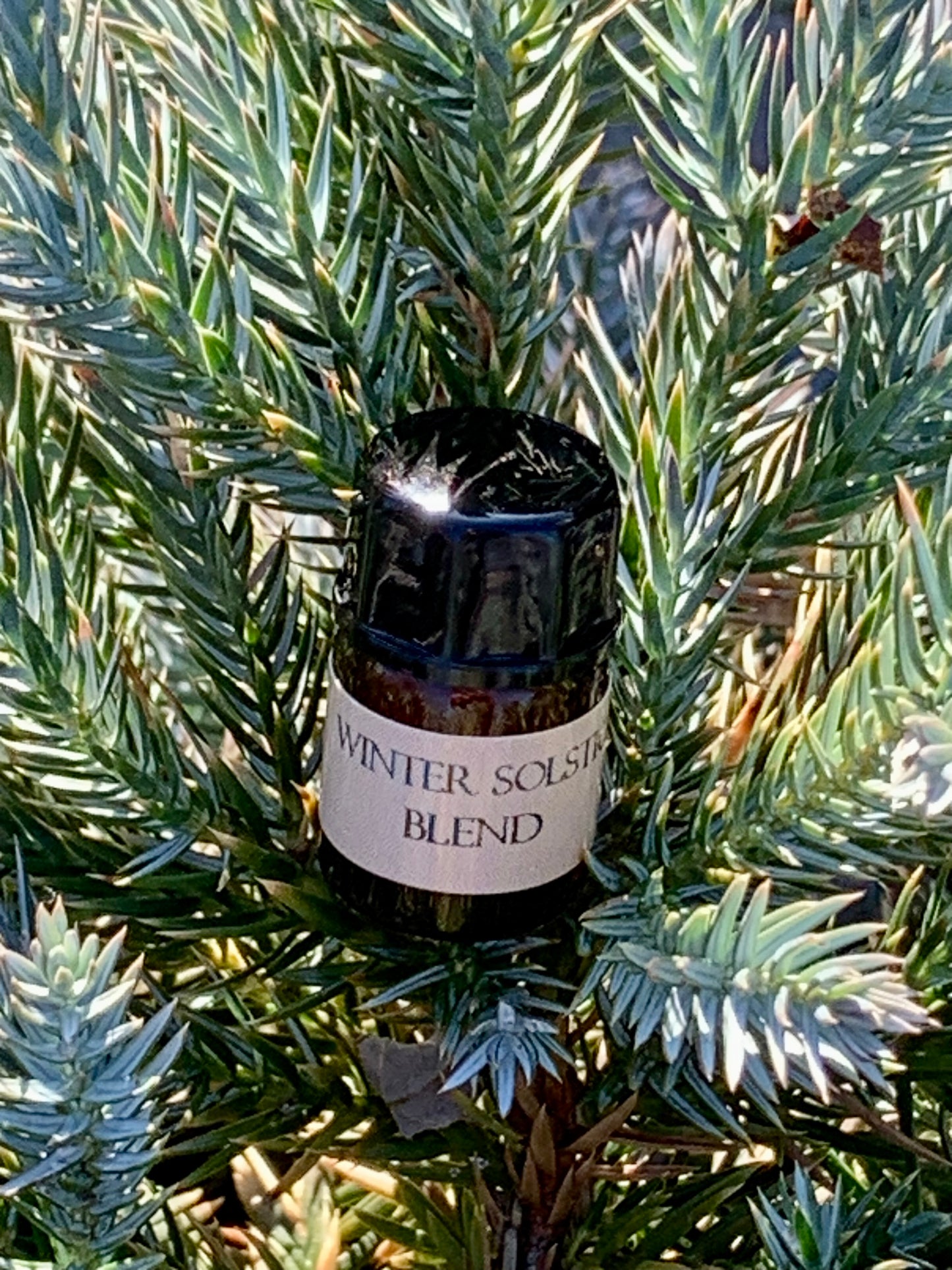 Winter Solstice Blend Wildcrafted Pure Essential Oil Roller Bottle