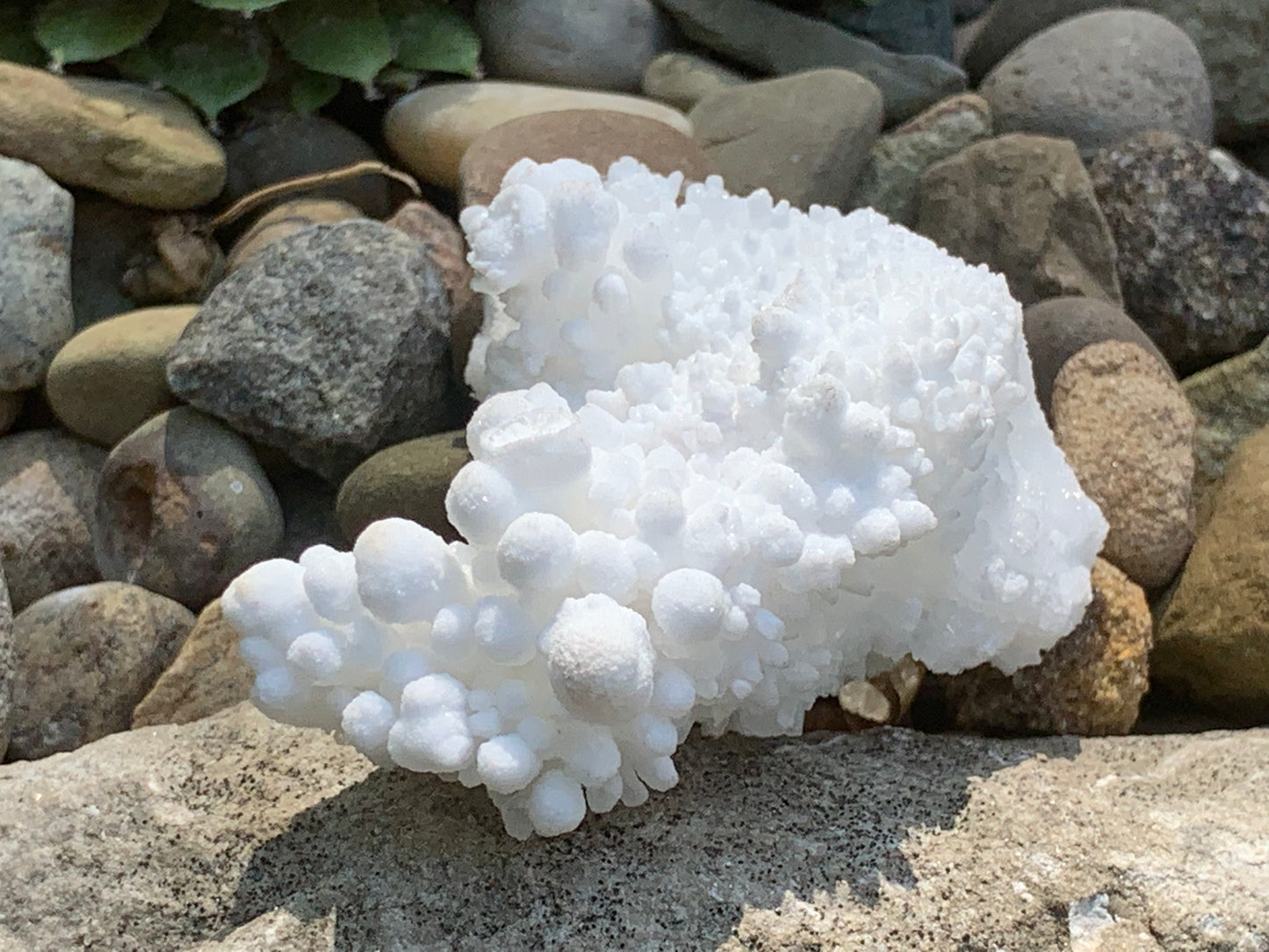 Botryoidal White Aragonite / Cave Calcite Raw Natural Crystal Specimen