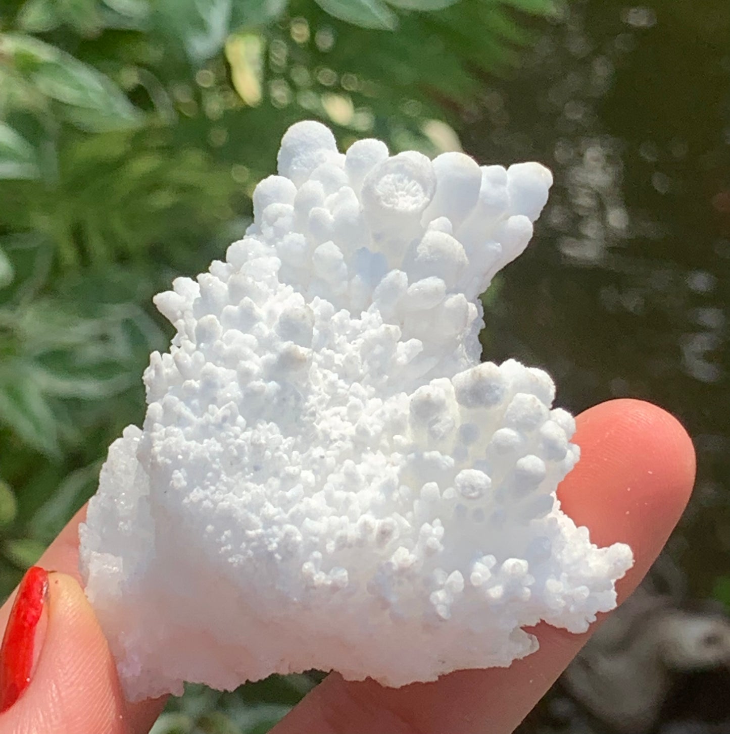 Botryoidal White Aragonite / Cave Calcite Raw Natural Crystal Specimen