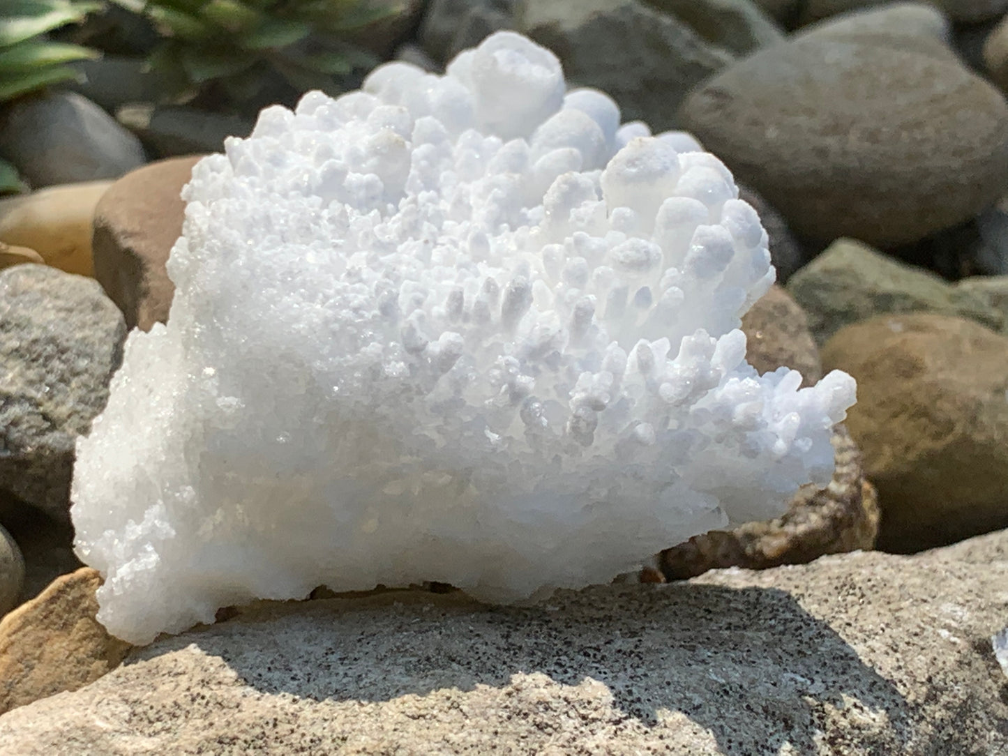 Botryoidal White Aragonite / Cave Calcite Raw Natural Crystal Specimen