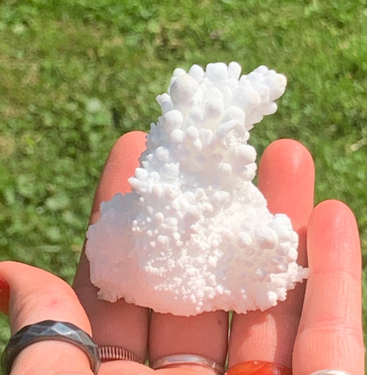 Botryoidal White Aragonite / Cave Calcite Raw Natural Crystal Specimen