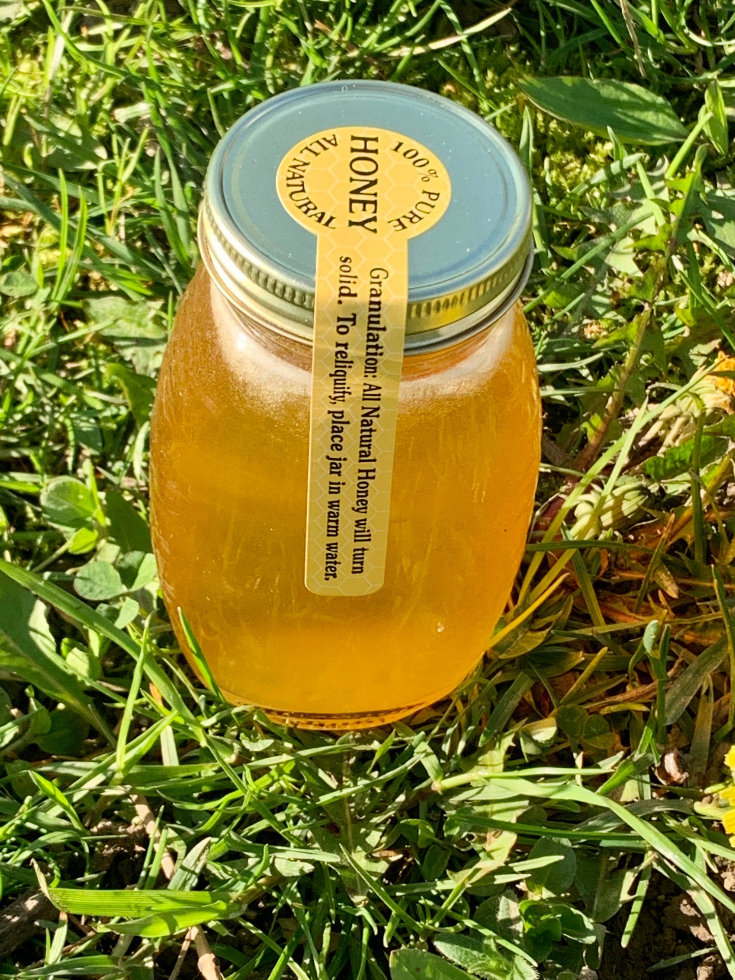 Pure & Raw Local Clover Honey