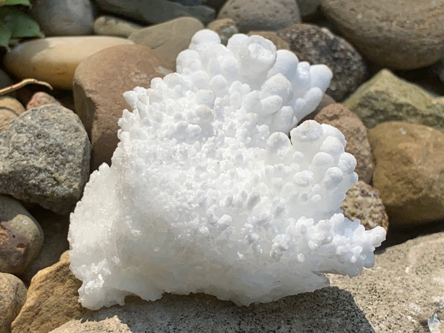 Botryoidal White Aragonite / Cave Calcite Raw Natural Crystal Specimen