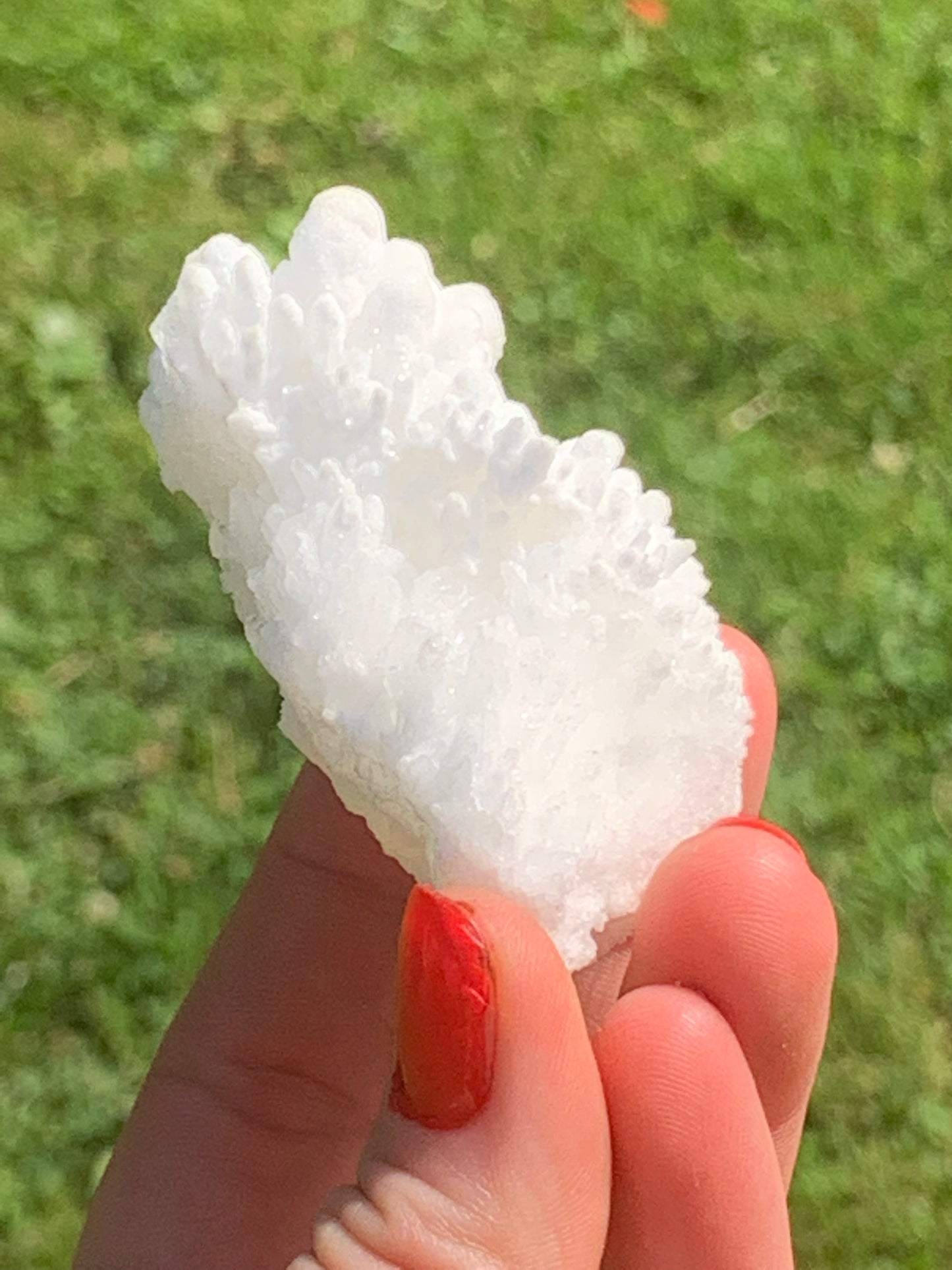 Botryoidal White Aragonite / Cave Calcite Raw Natural Crystal Specimen